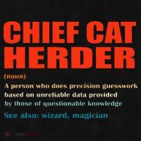 Chief Cat Herder Definition Wizard Magician Ladies PosiCharge Tri-Blend Wicking Tank thumb 2