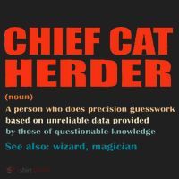 Chief Cat Herder Definition Wizard Magician Women's Sweatshirt thumb 2
