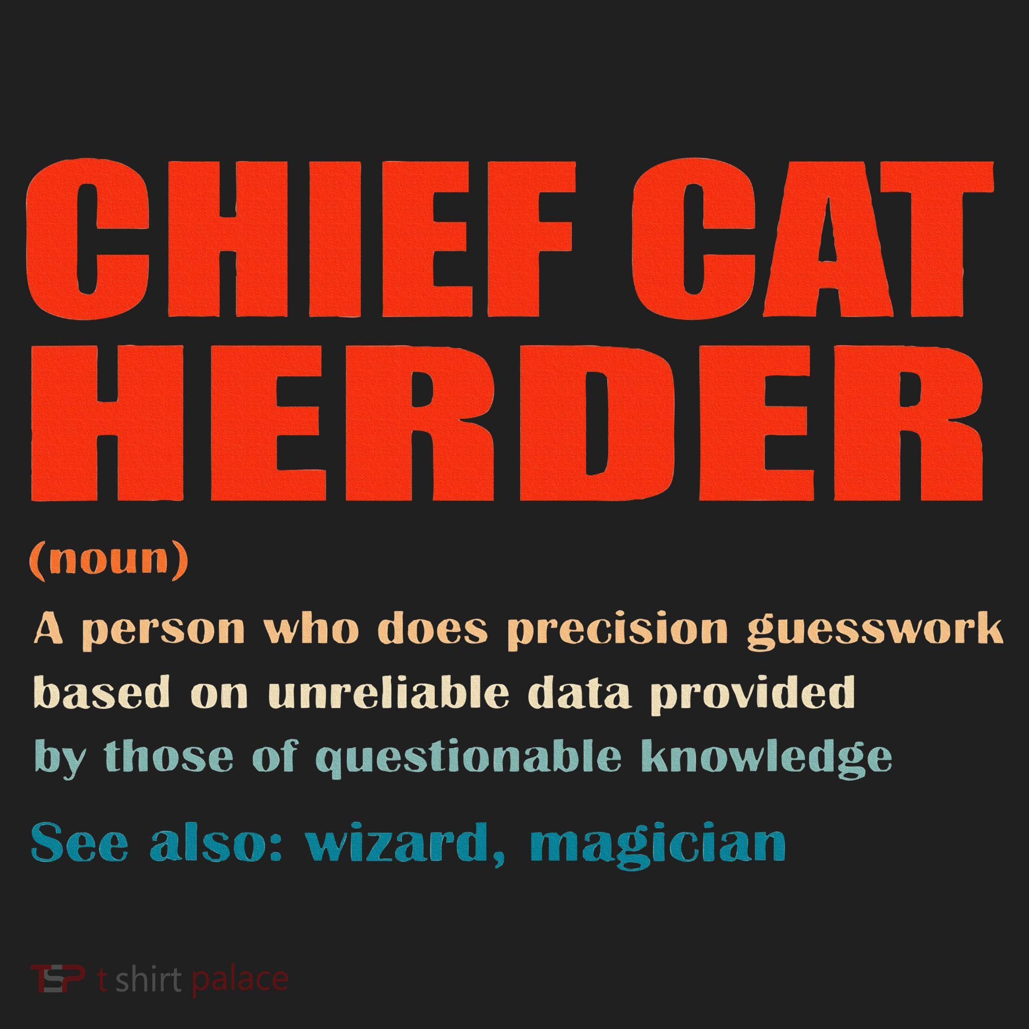 Chief Cat Herder Definition Wizard Magician Beanie