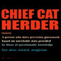 Chief Cat Herder Definition Wizard Magician Women's Tank Top thumb 5