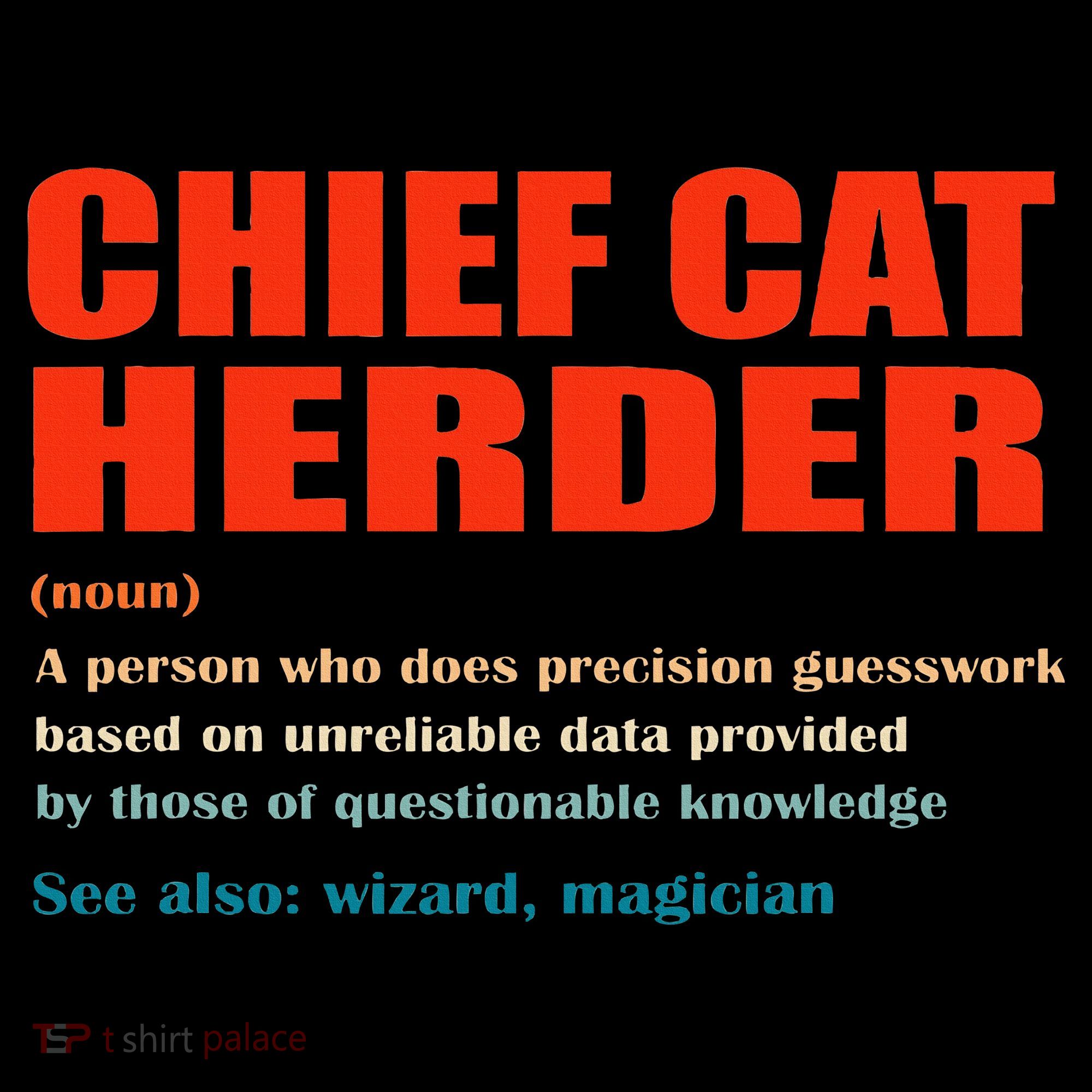 Chief Cat Herder Definition Wizard Magician Women's Tank Top