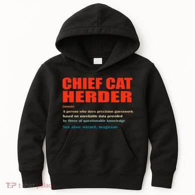 Chief Cat Herder Definition Wizard Magician Kids Hoodie
