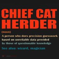 Chief Cat Herder Definition Wizard Magician Kids Hoodie thumb 5