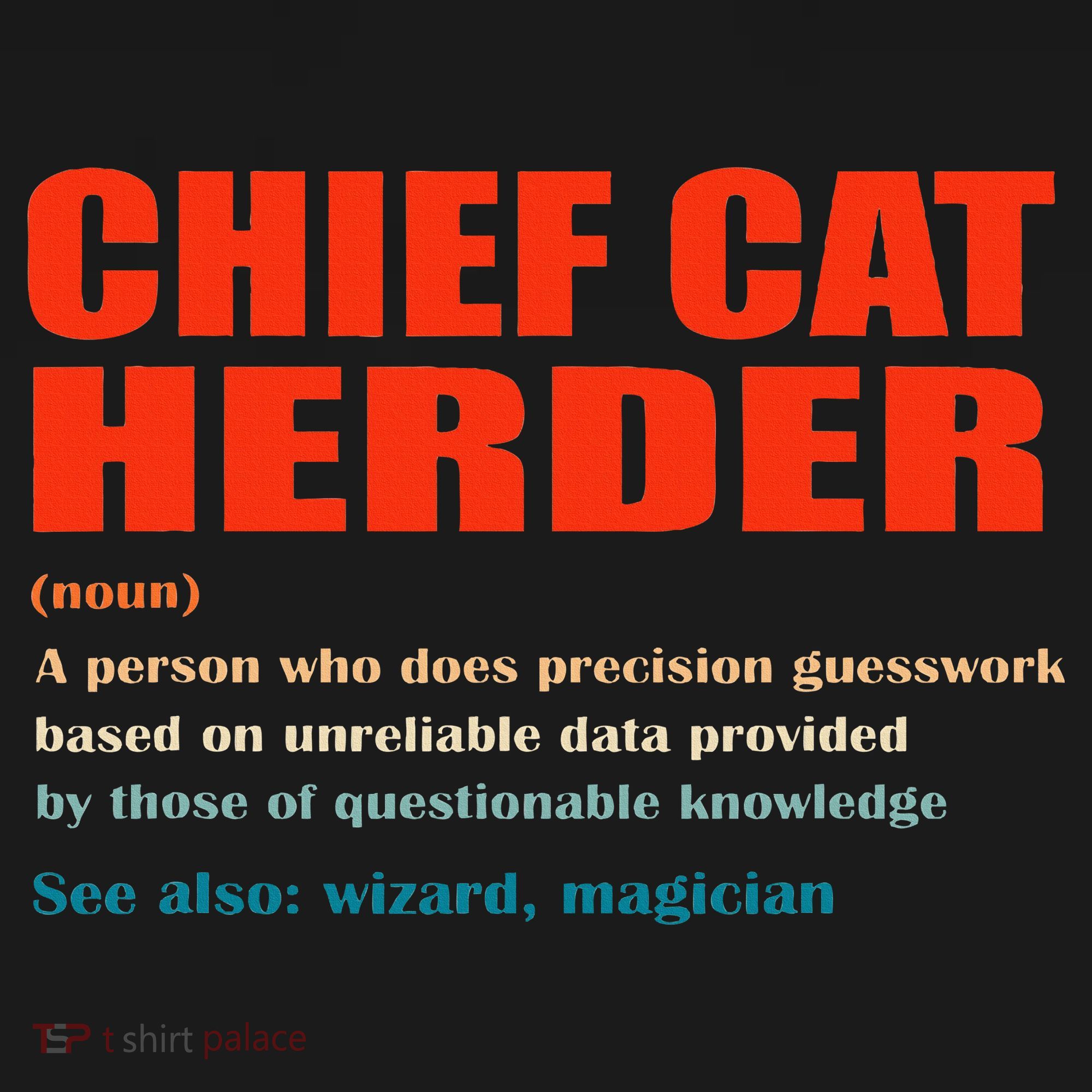 Chief Cat Herder Definition Wizard Magician Kids Hoodie