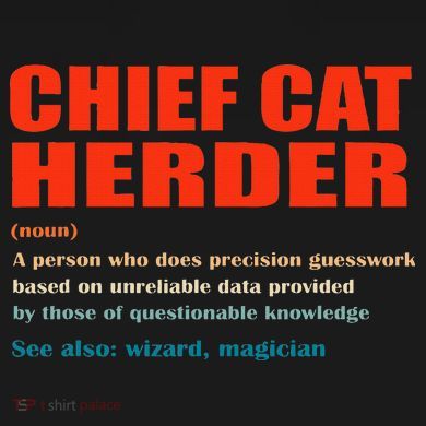Chief Cat Herder Definition Wizard Magician Kids T-Shirt
