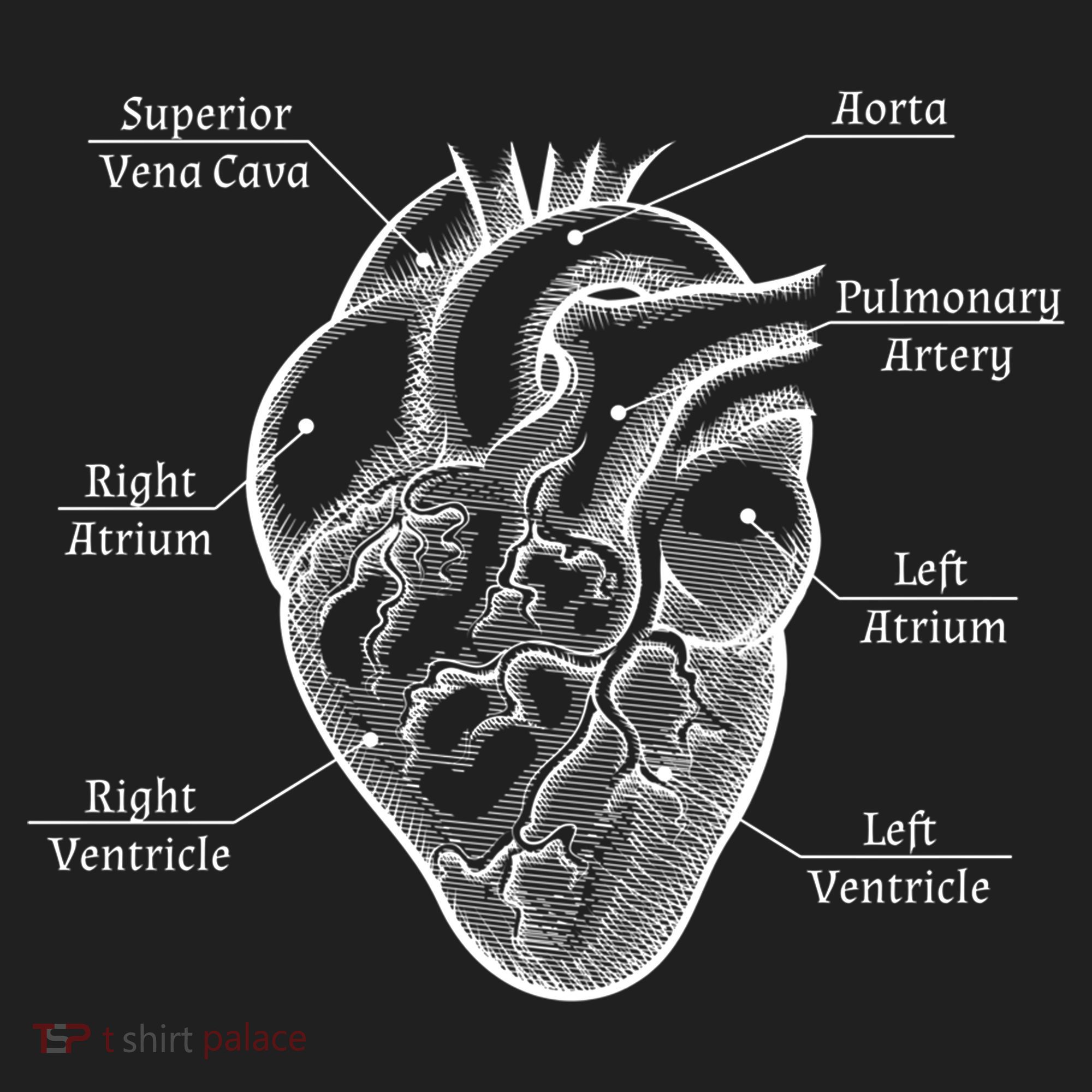 Cardiology Cardiologist Heart Anatomy Distressed Gift Beanie