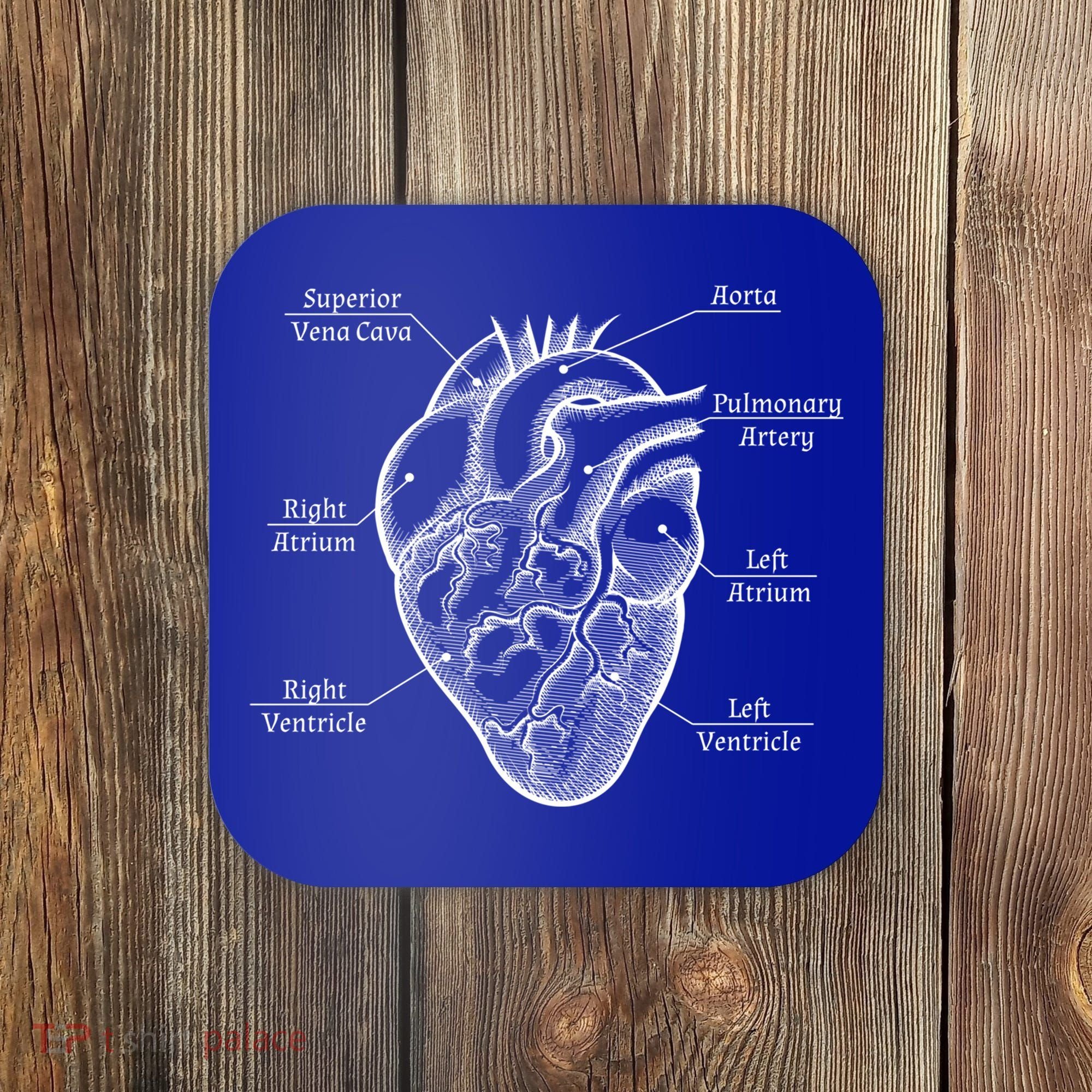 Cardiology Cardiologist Heart Anatomy Distressed Gift Coaster
