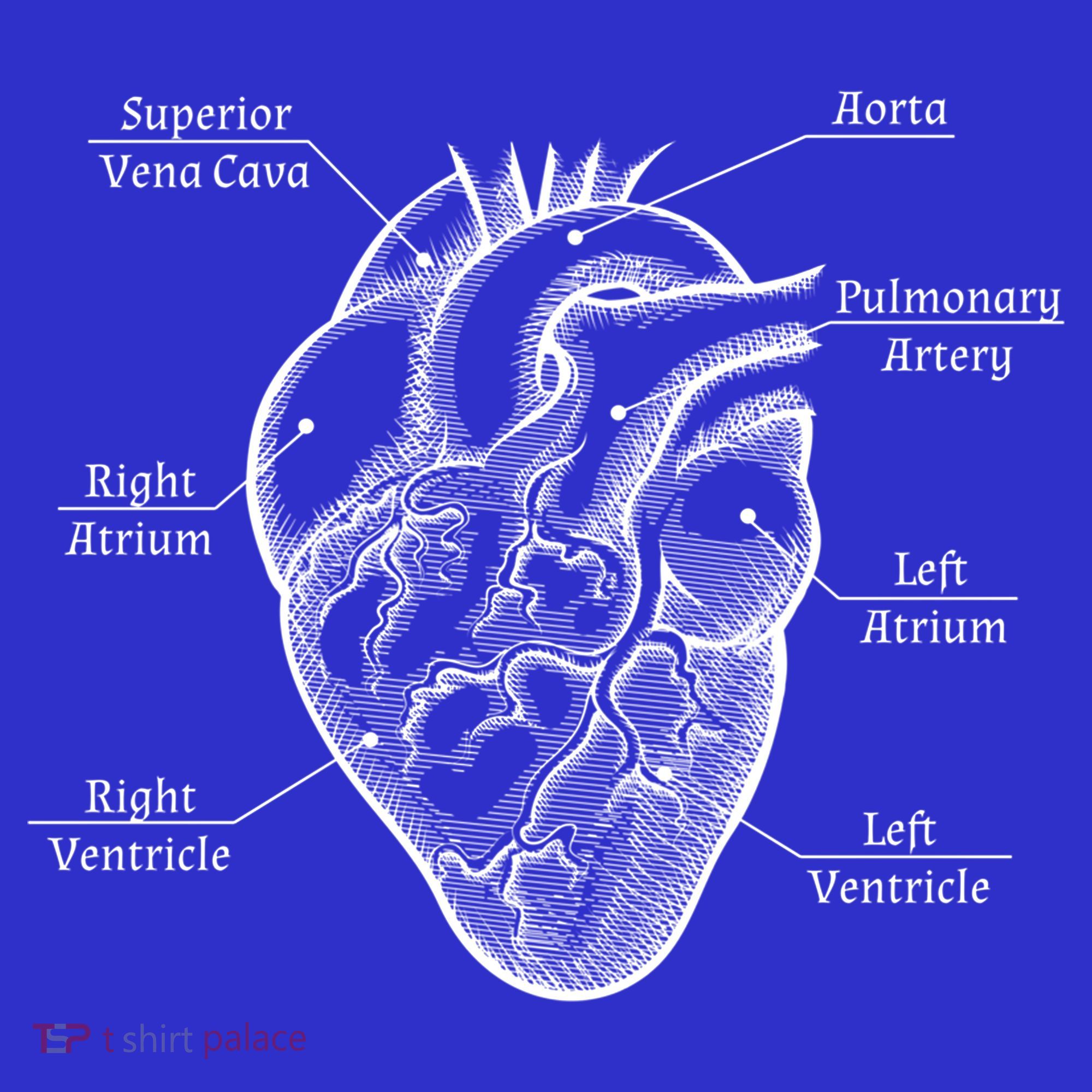 Cardiology Cardiologist Heart Anatomy Distressed Gift Baby Bodysuit