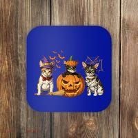 Cute Cat Halloween Witch Mummy Pumpkin Funny Cat Lover Gift Coaster thumb 0