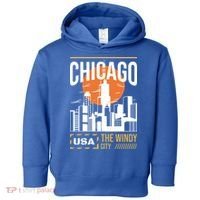 Chicago Toddler Hoodie thumb 0