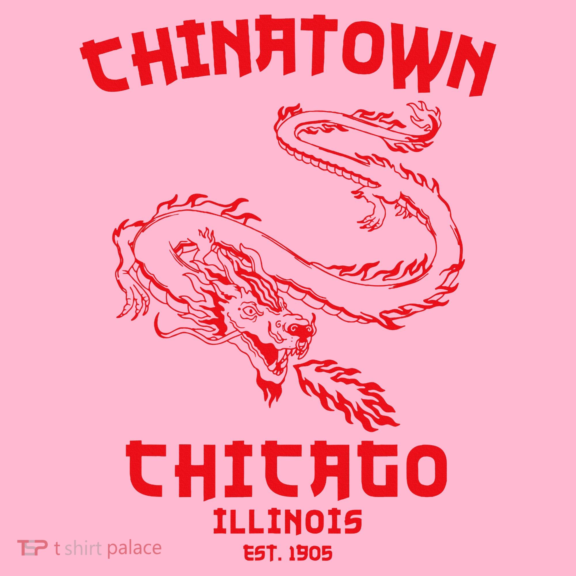 Chicago Chinatown Illinois Chinese American Loop South Side Coaster
