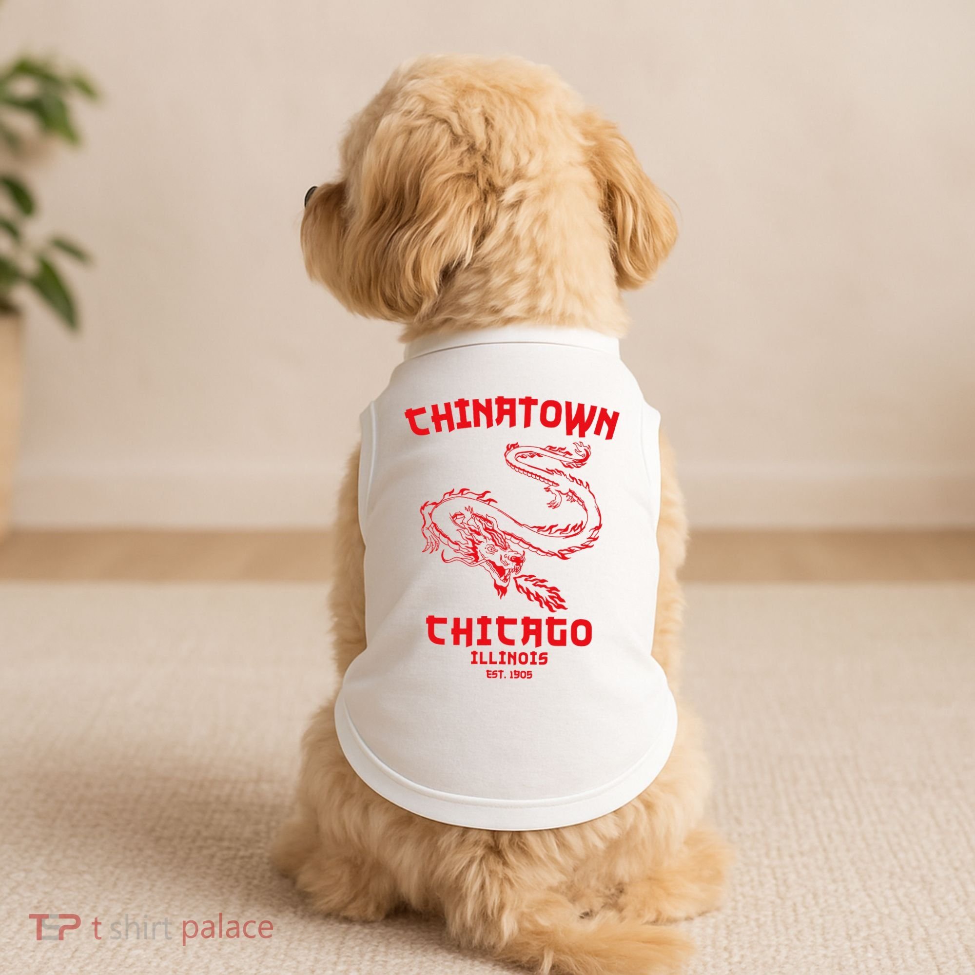 Chicago Chinatown Illinois Chinese American Loop South Side Doggie Tank