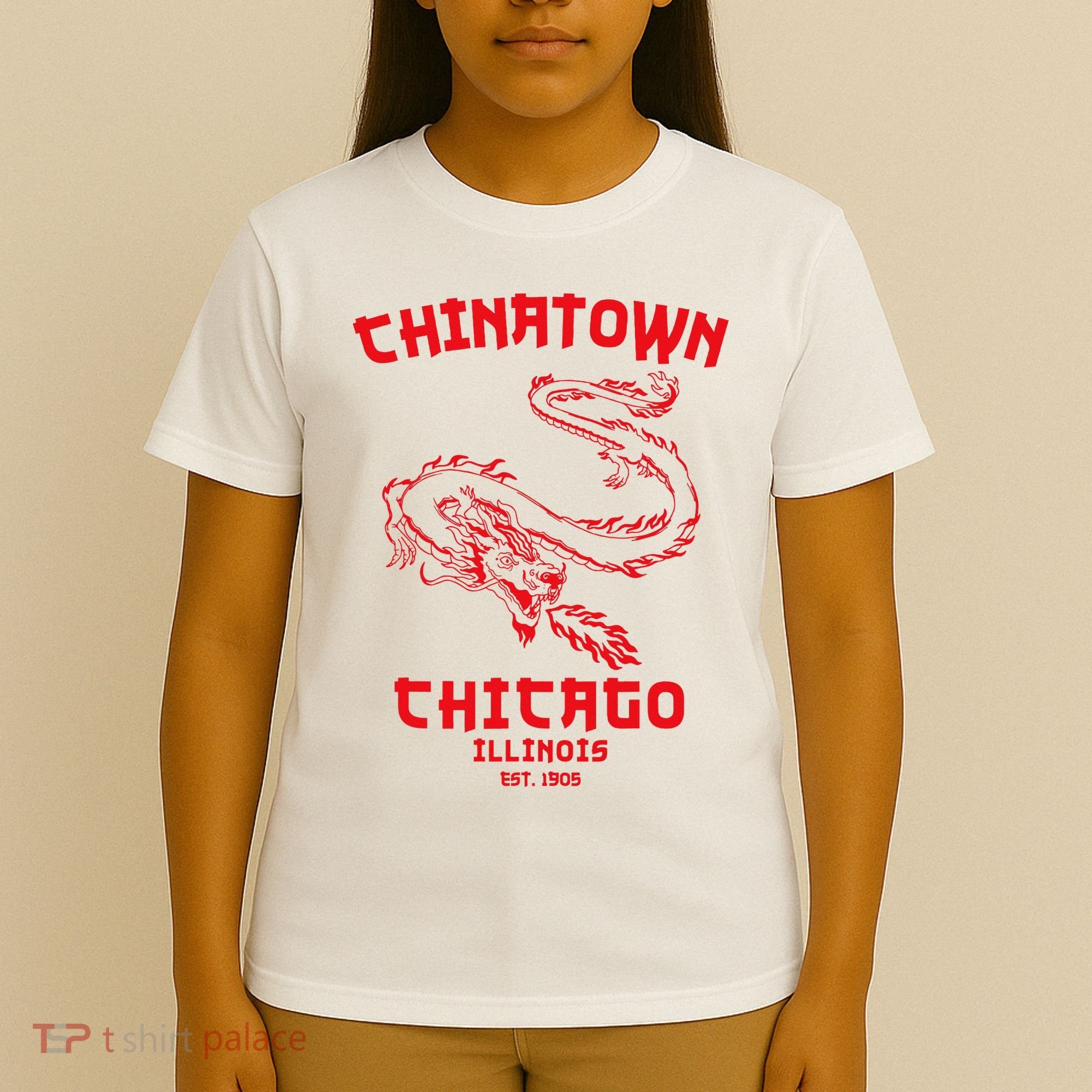 Chicago Chinatown Illinois Chinese American Loop South Side T-Shirt