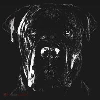 Cane Corso Italiano Pet Dog Lover Magnet thumb 1