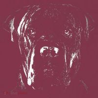 Cane Corso Italiano Pet Dog Lover 16oz Travel Tumbler thumb 2