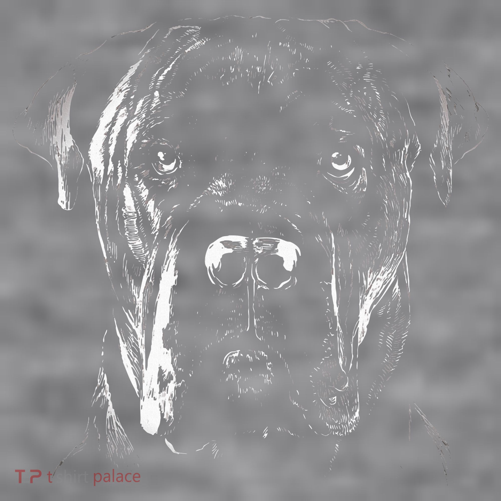 Cane Corso Italiano Pet Dog Lover Women's Racerback Cropped Tank