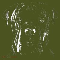 Cane Corso Italiano Pet Dog Lover The Baniff Cuffed Pom Beanie thumb 2