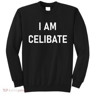 Celebrate Celibacy I Am Celibate Sweatshirt