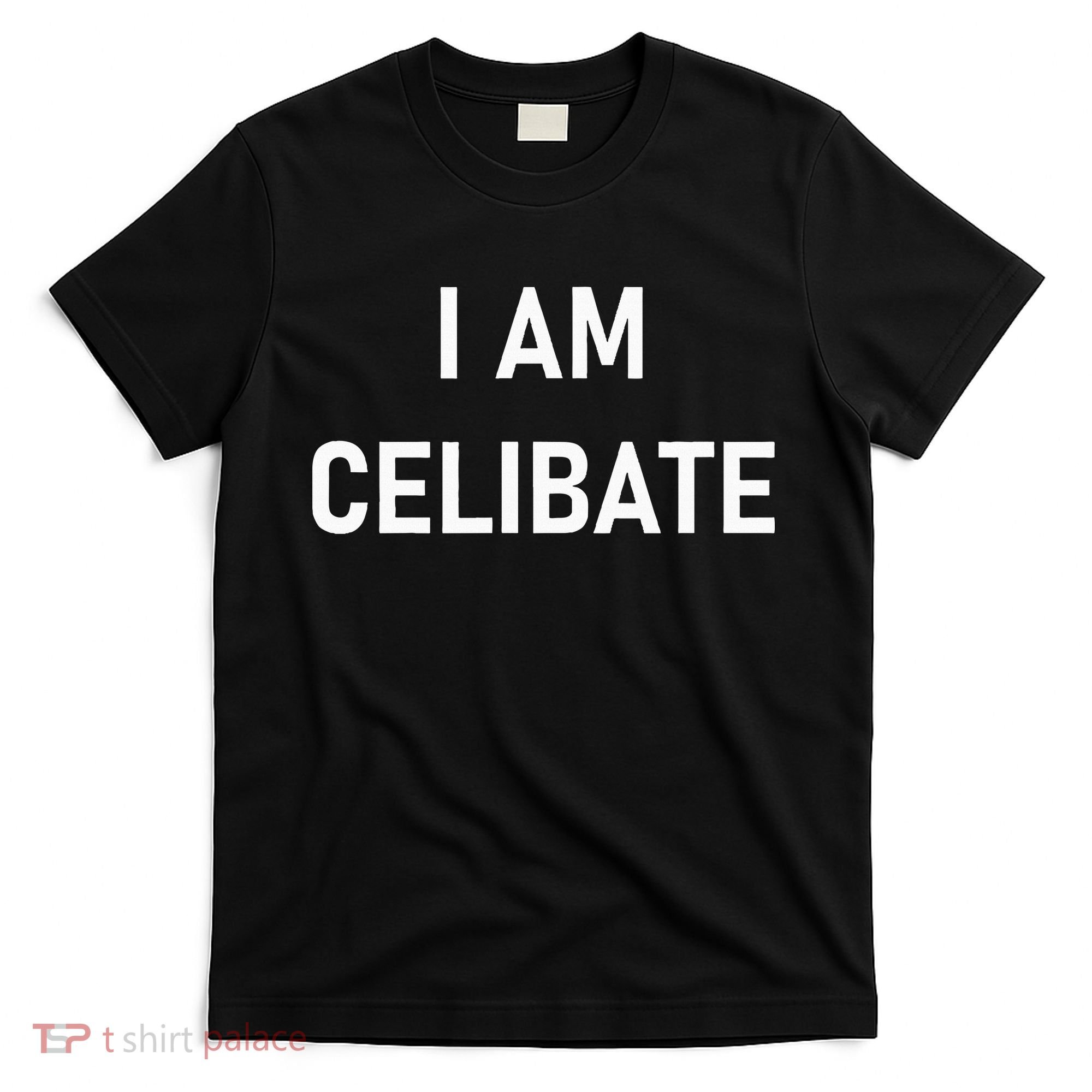 Celebrate Celibacy I Am Celibate T-Shirt