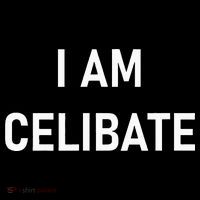 Celebrate Celibacy I Am Celibate Women's Hoodie thumb 2