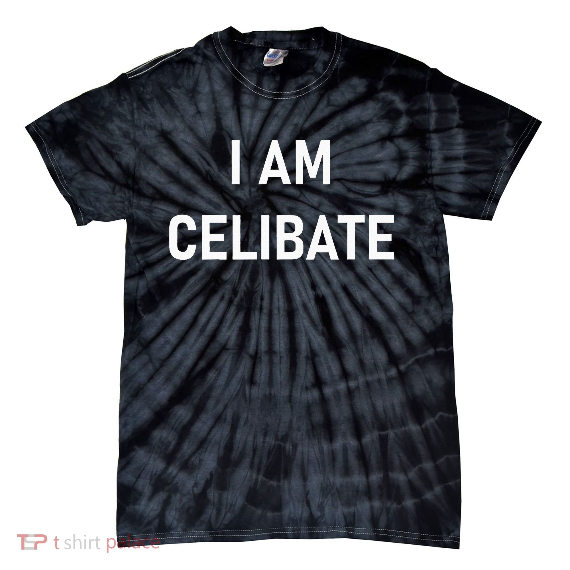 Celebrate Celibacy I Am Celibate Tie-Dye T-Shirt