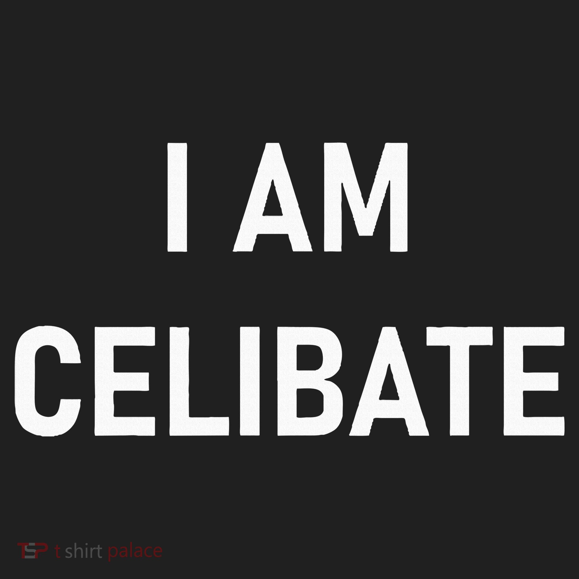 Celebrate Celibacy I Am Celibate Hat