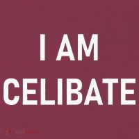 Celebrate Celibacy I Am Celibate 16oz Travel Tumbler thumb 2