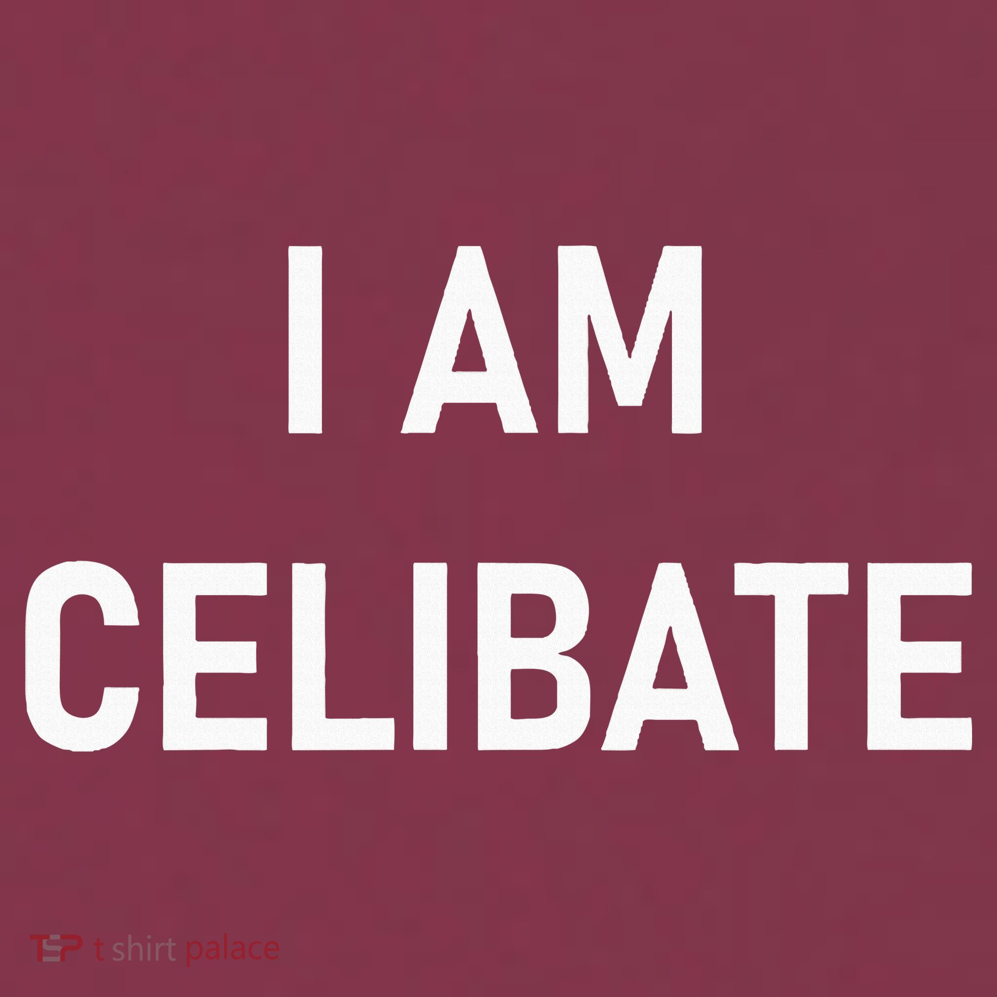 Celebrate Celibacy I Am Celibate 16oz Travel Tumbler