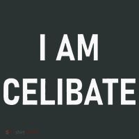 Celebrate Celibacy I Am Celibate Infant Baby Jersey Bodysuit thumb 2
