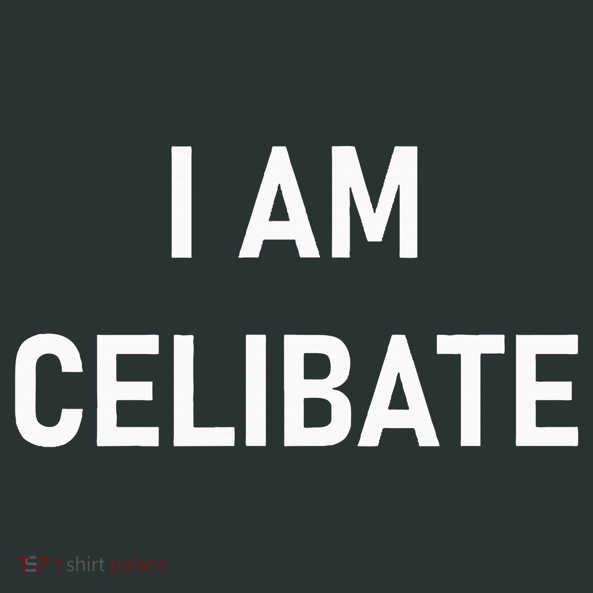 Celebrate Celibacy I Am Celibate Infant Baby Jersey Bodysuit