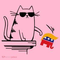 Cool Cat Knock Over Trump Elephant Hair 2024 Harris Walz Coaster thumb 2