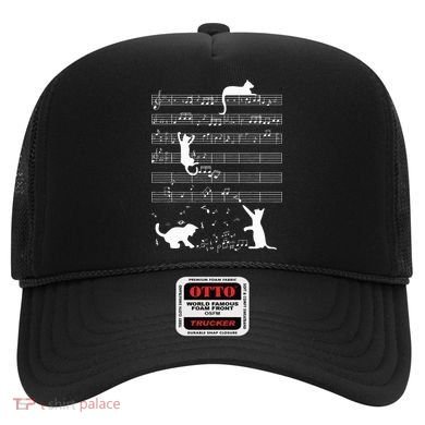 Cute Cat Kitty Playing Music Note Hat