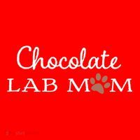 Cute Chocolate Lab Mom Gift For Lovers Santa Hat thumb 1