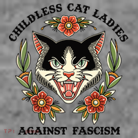 Childless Cat Ladies Against Fascism Toddler Hoodie thumb 2