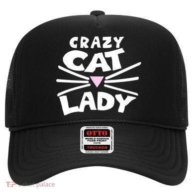 Crazy Cat Lady Long Funny Gift Cute Cat Gift Hat