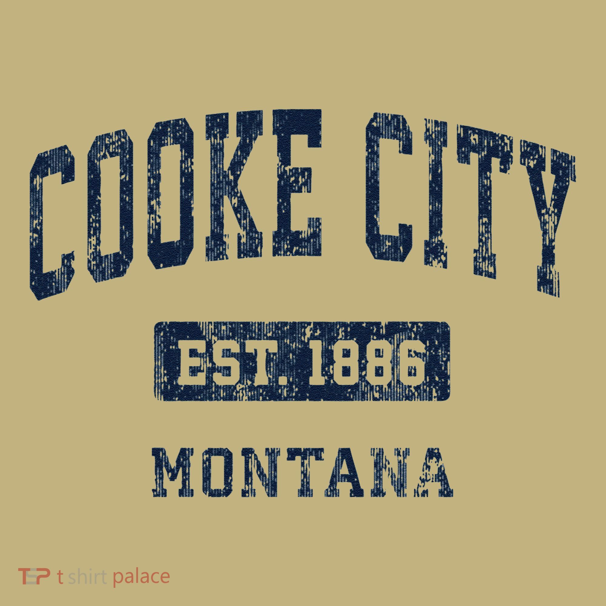 Cooke City Montana Mt Vintage Established T-Shirt
