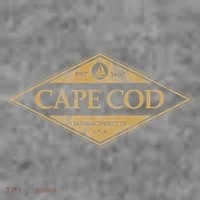 Cape Cod Massachusetts Retro Preppy Throwback Toddler Hoodie thumb 2