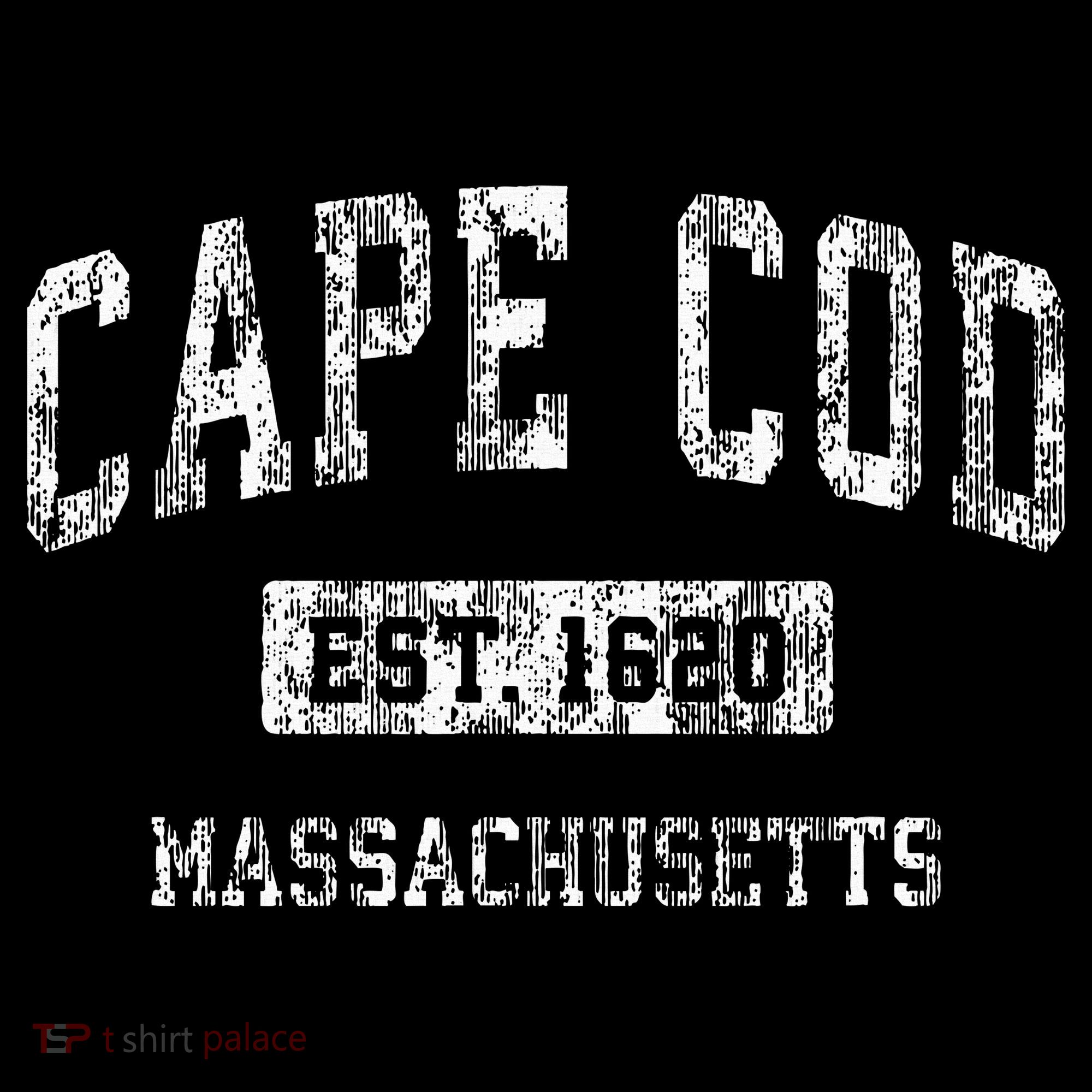Cape Cod Massachusetts Ma Vintage Sports Established T-Shirt