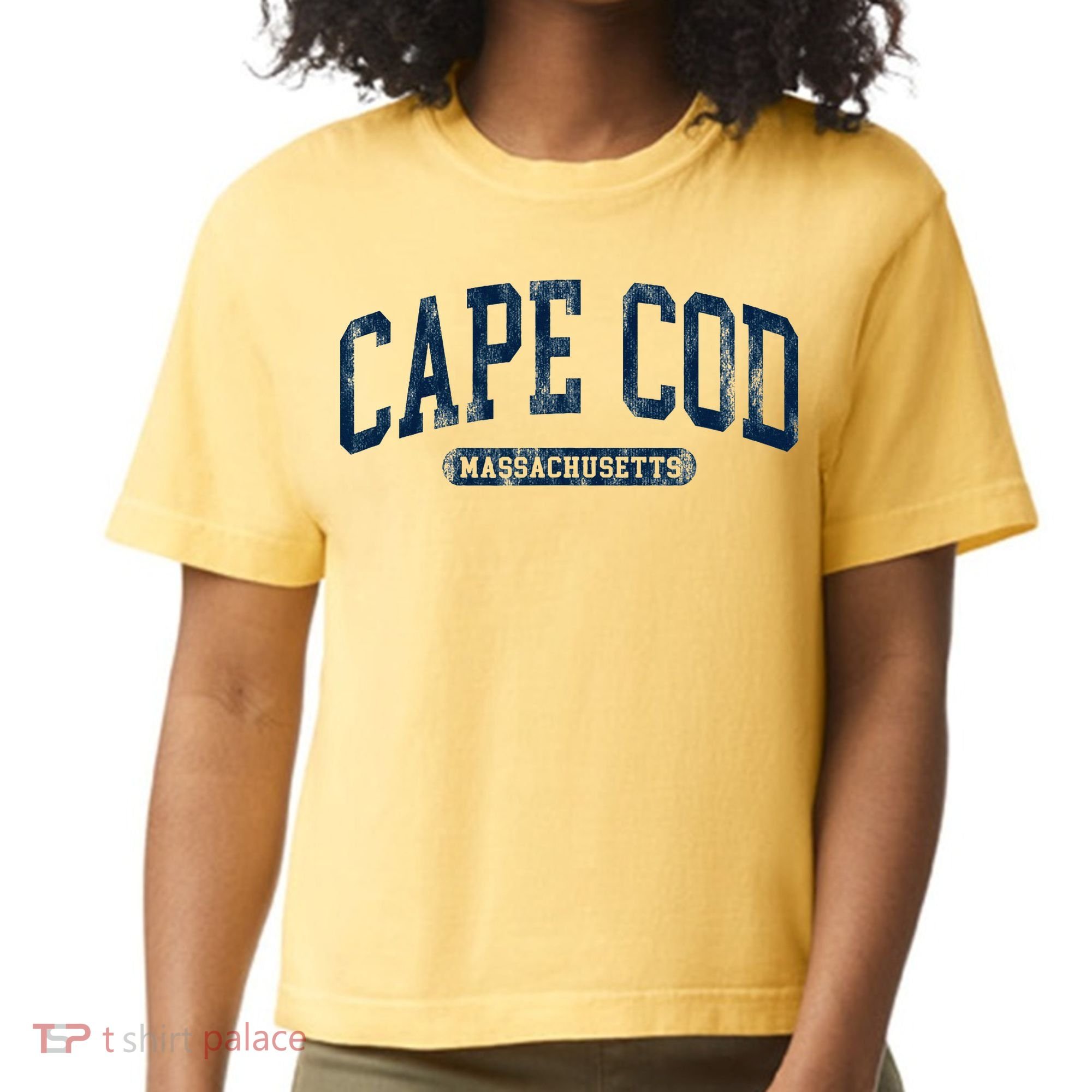 Cape Cod Massachusetts Retro Preppy Comfort Colors Boxy T-Shirt