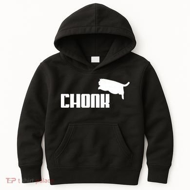 Chonk Cat Meme Funny Kids Hoodie