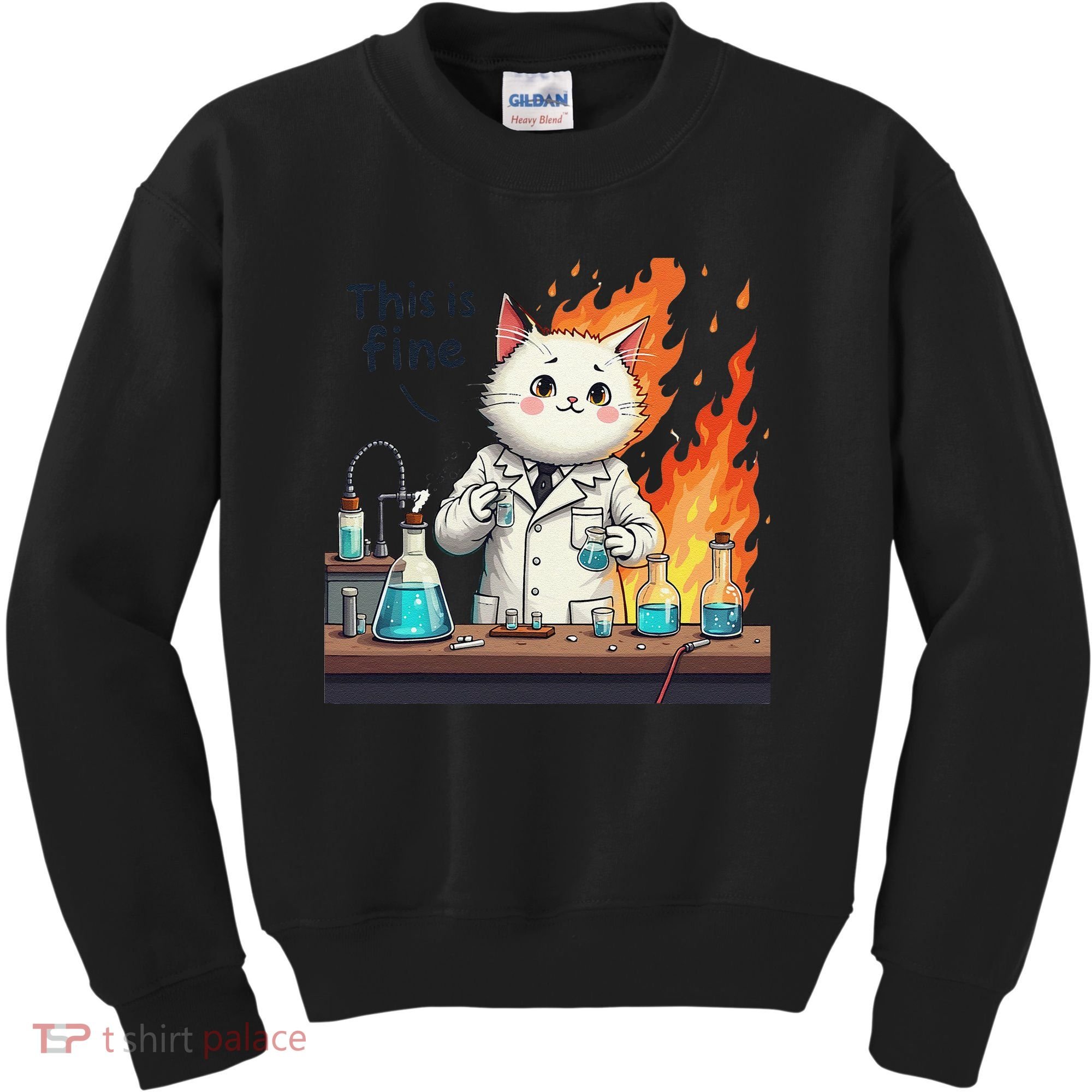Chemistry Cat Meme This Is Fine Medical Lab Tech Lab Science Kids Sweatshirt