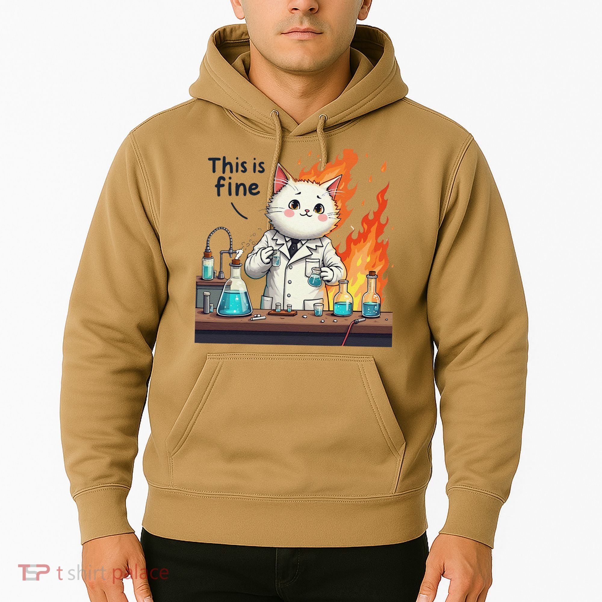 Chemistry Cat Meme This Is Fine Medical Lab Tech Lab Science Hoodie