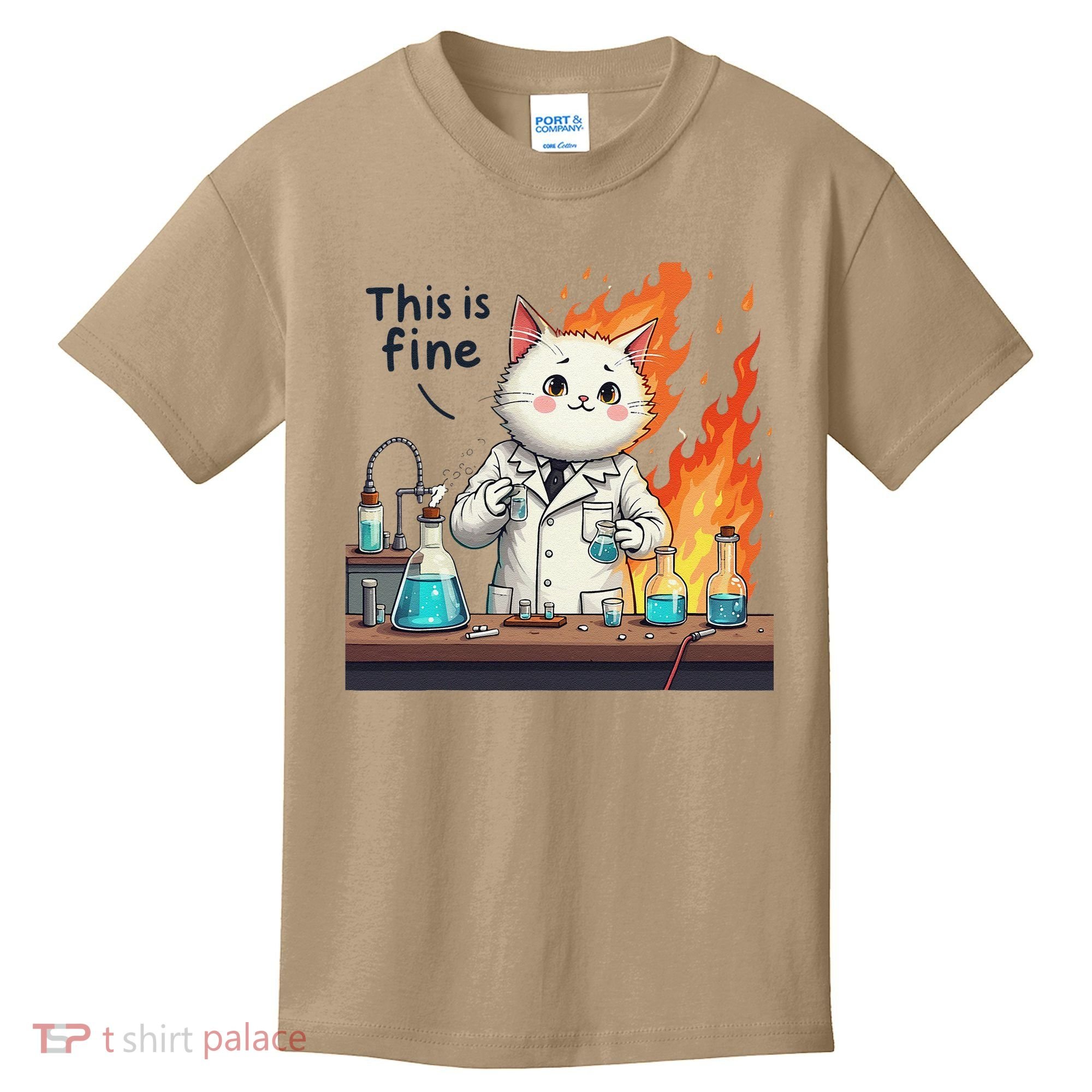 Chemistry Cat Meme This Is Fine Medical Lab Tech Lab Science Kids T-Shirt