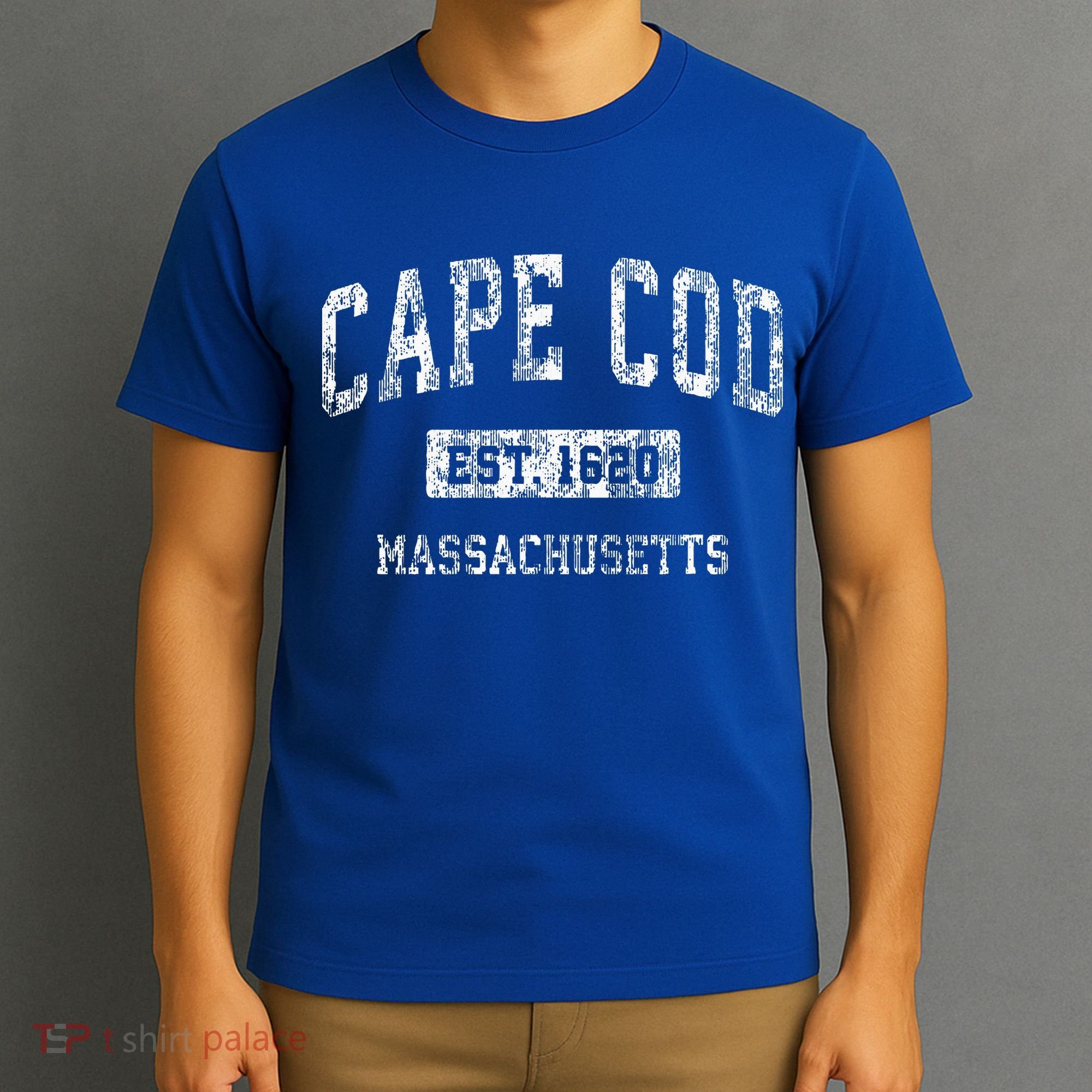 Cape Cod Massachusetts Ma Vintage Sports T-Shirt