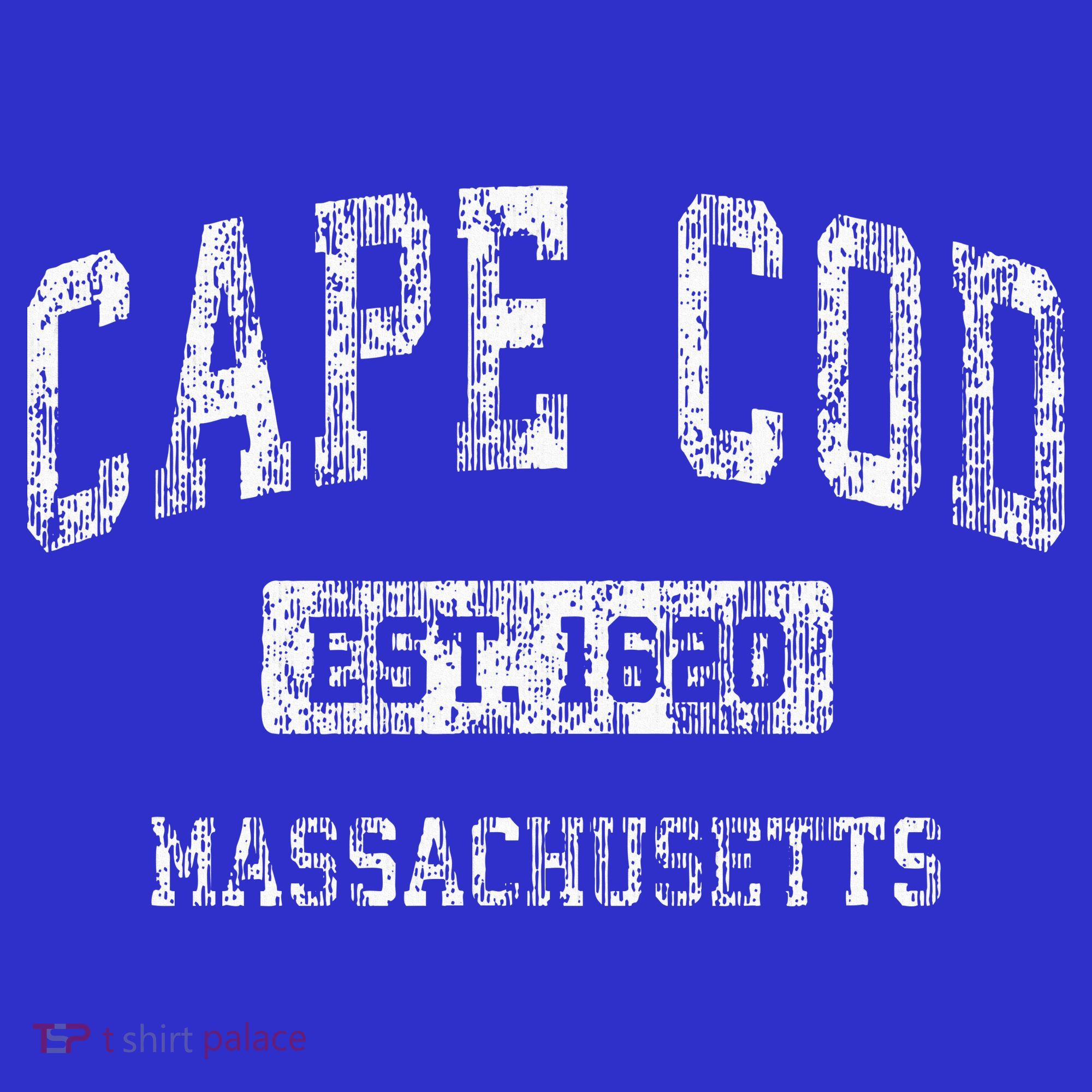 Cape Cod Massachusetts Ma Vintage Sports T-Shirt