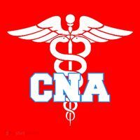 Cna Caduceus Medical Symbol Nurse Gifts Santa Hat thumb 1