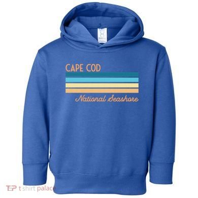 Cape Cod National Seashore Meaningful Gift Toddler Hoodie