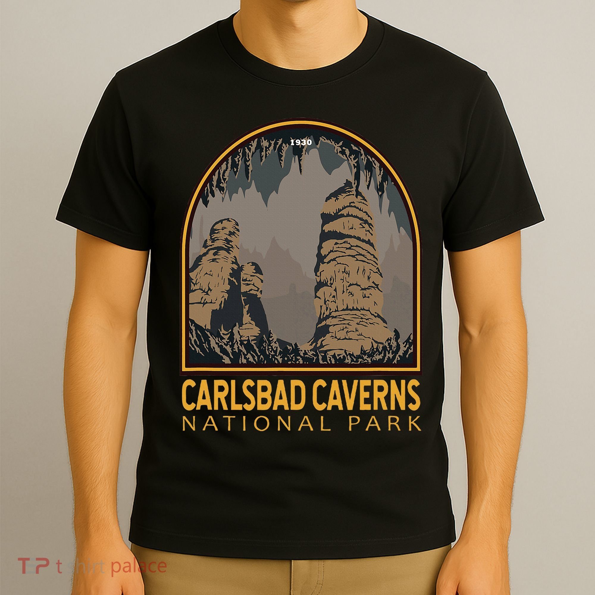 Carlsbad Caverns National Park Vintage Emblem T-Shirt