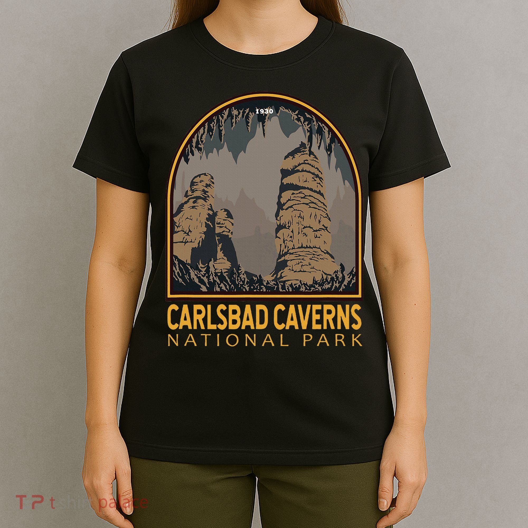 Carlsbad Caverns National Park Vintage Emblem T-Shirt