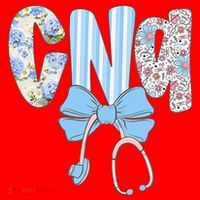 Coquette CNA Nurse Blue Floral Stethoscope Bow Cute Nurse Santa Hat thumb 1